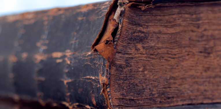 Buchtipps für Job, Karriere & Persönlichkeit | Coaching Berlin