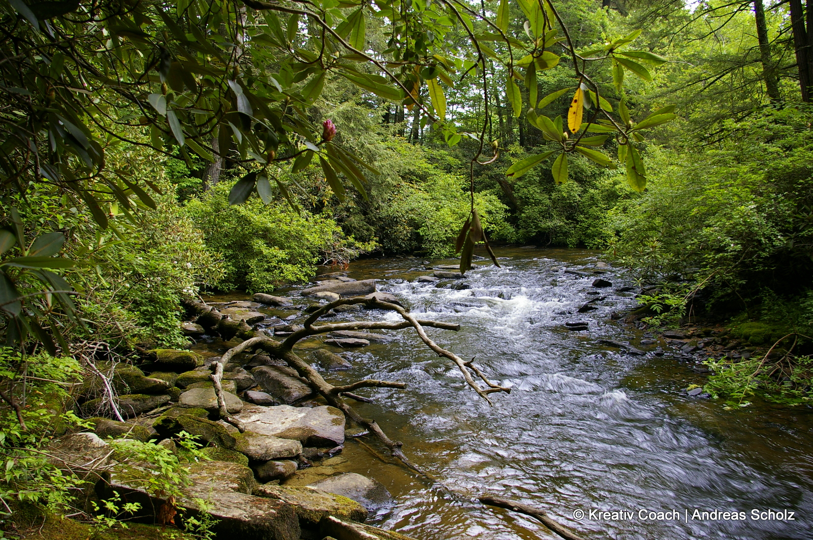 Wenn Du freie Wahl hättest, was würdest Du tun? Wenn Du freie Wahl hättest, was würdest Du tun?
