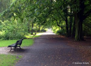 Meditationsübung für Entspannung ☯ Heilpraxis Berlin Adlershof