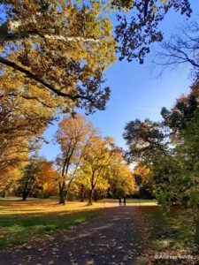 Schöne Herbstfarben