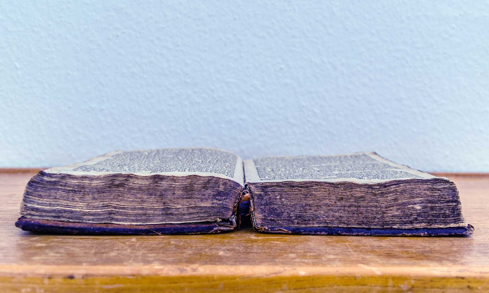 Die ganze Welt der Autorinnen und Autoren.