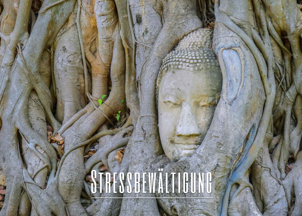 Stressbewältigung & Resilienz Coaching ☯ Berlin Adlershof Schlafstörungen & Schlafhygiene | Life Coaching Berlin Naturheilverfahren