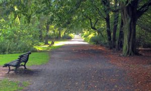 Meditationsübung für Entspannung ☯ Heilpraxis Berlin Adlershof