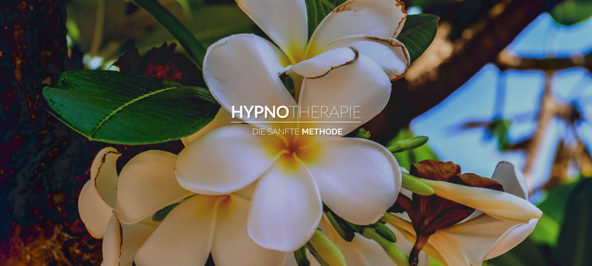 Hypnotherapie ❀ Adlershof Berlin Treptow Köpenick