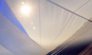 Kreativ & Life Coaching | Berlin